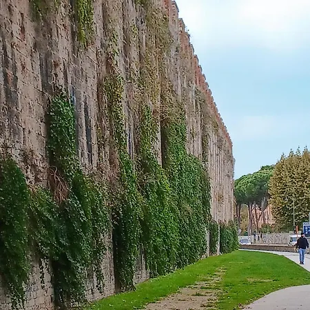 Amazing In With Wifi Pisa